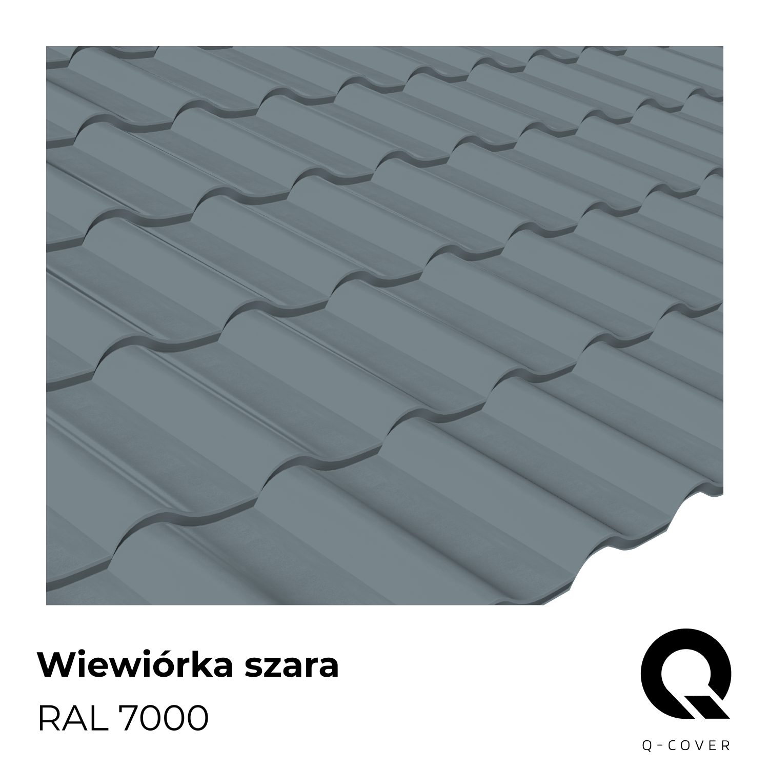 RAL7000 Wiewiórka szara